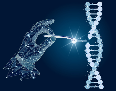 Abstract design. Manipulation of DNA double helix with with bare hands, tweezers. isolated from low poly wireframe on white background.  abstract polygonal image mash line and point.の写真素材