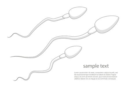 sperm  icon, abstract icon goal , Competition concept. Innovation and unique way concept.の写真素材