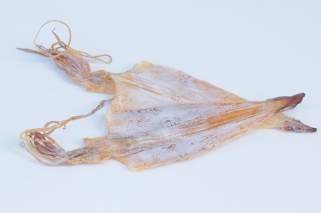 Two  squids isolated on white background の写真素材