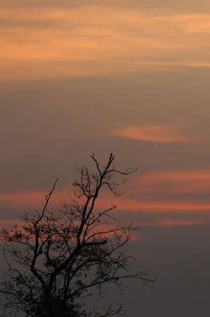 Dream Sunsetの写真素材