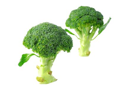 Fresh broccoli isolated on white backgroundの写真素材