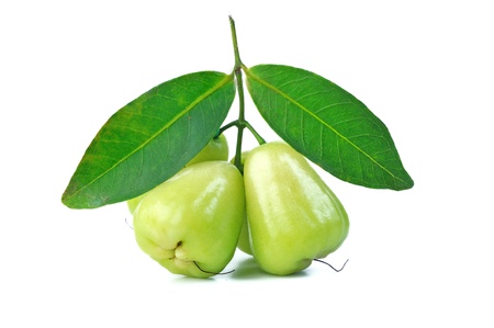 Rose apples or green chomphu isolated on white backgroundの写真素材