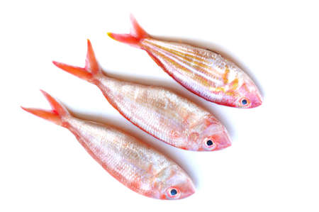 Fresh fish isolated on white backgroundの写真素材