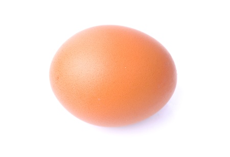 close up of egg on white background with clipping path