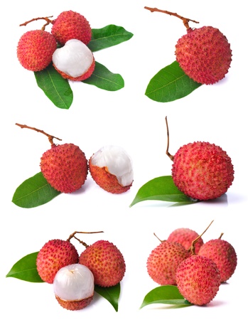 Lychees collectionの写真素材
