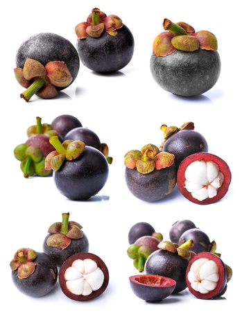 Mangosteen collectionの写真素材