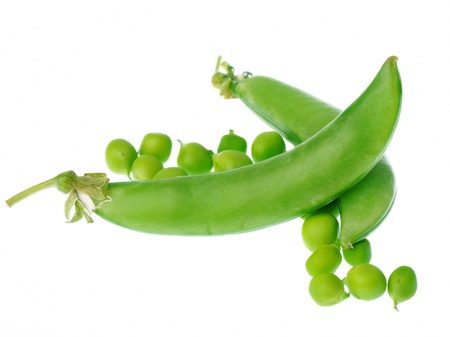 String beans isolated on white backgroundの写真素材