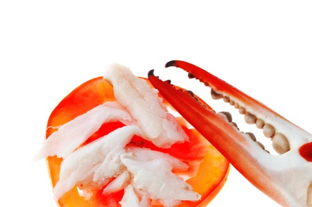 crab claw isolated on white backgroundの写真素材