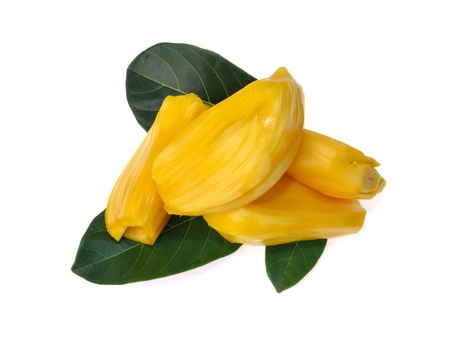 Jackfruit isolated on white backgroundの写真素材