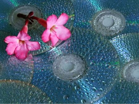 water drops on dvd media