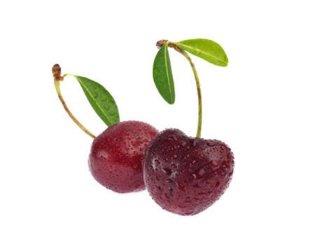 Sweet ripe cherry with leaf isolated on white background