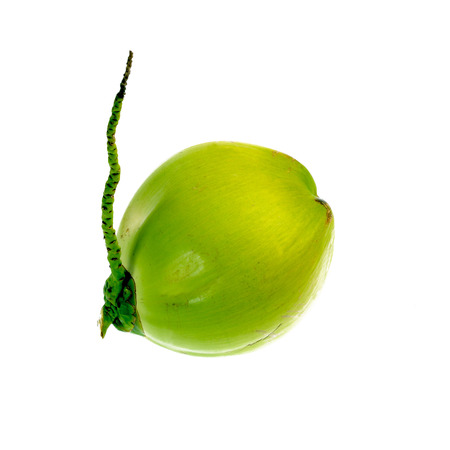 Green coconut isolated on white backgroundの写真素材