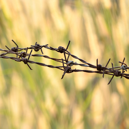Barbed wireの写真素材