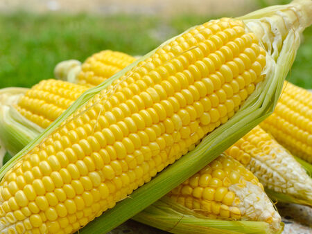 Fresh corn