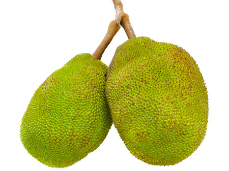Jackfruit isolated on white background