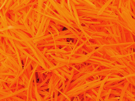 fresh carrotの写真素材