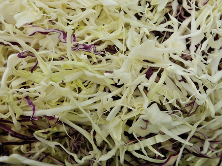 White and red cabbageの写真素材