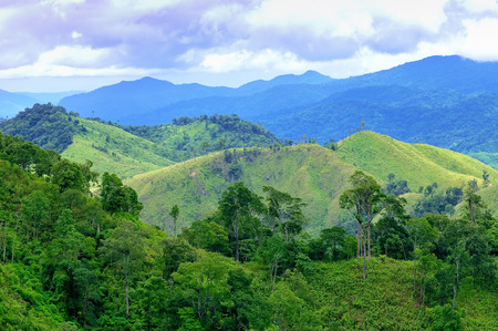 Landscape with forest mountainsの写真素材