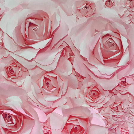 Beautiful pink rose backgroundの写真素材