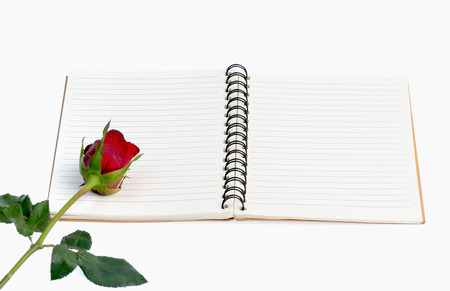 Red rose on a blank notebook