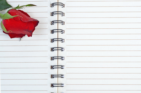 Red rose on a blank notebookの写真素材