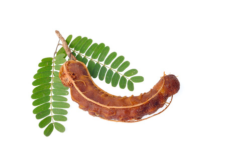 Tamarind fruit isolated on white backgroundの写真素材