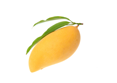 Yellow mango isolated on white backgroundの写真素材