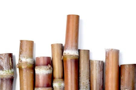 Sugar cane isolated on white backgroundの写真素材