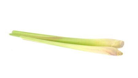 Fresh lemon grass isolated on white backgroundの写真素材
