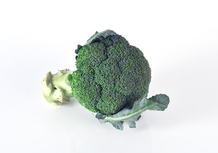 Broccoli isolated on white backgroundの写真素材