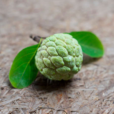 Fresh custard apple on wooden backgroundの写真素材