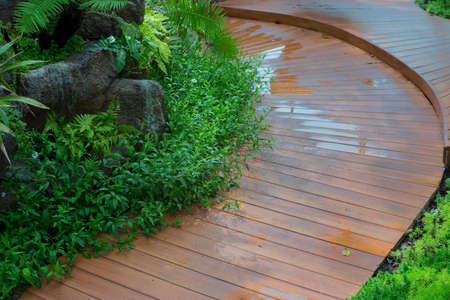 stone walkway in garden parkの写真素材