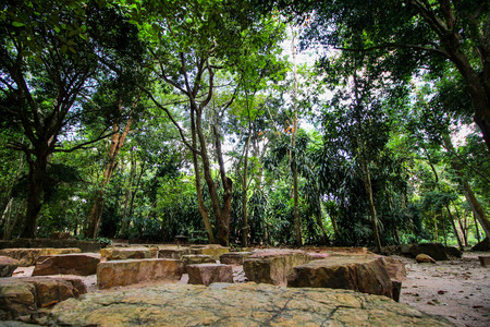 rock and tree shady dhamma retreatの写真素材