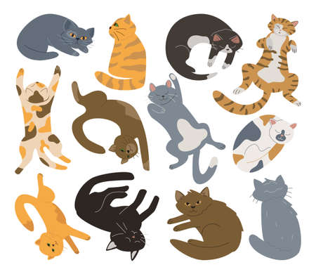 A collection of lazy cute cats. Bundle of sleeping, lying, sitting pets. Flat illustration.