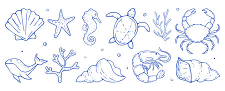 A hand drawn whimsical collection of marine elements featuring sea shells, starfish, crab, seahorse. Coastal life doodle set.のイラスト素材