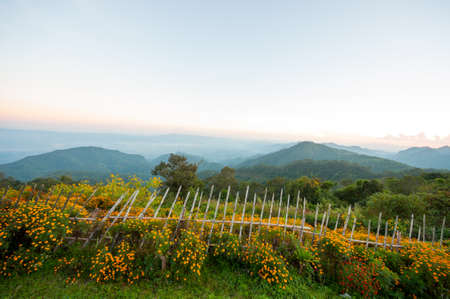 mountain with fog in north of Thailandの写真素材