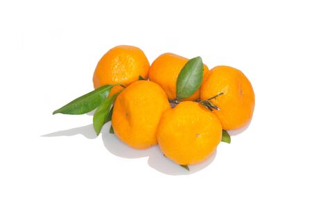 orangesの写真素材