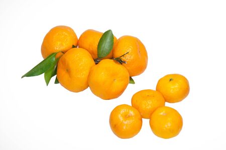 orangesの写真素材