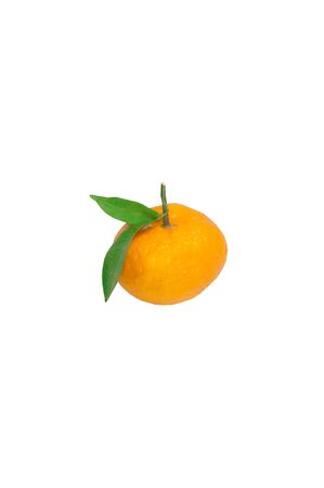orangeの写真素材