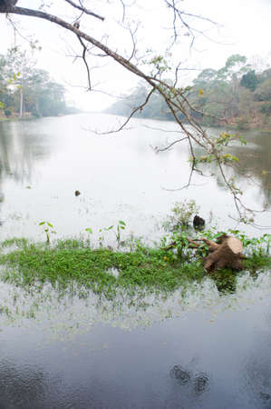 a river in front of Phnom Bakheng in Cambodiaの写真素材