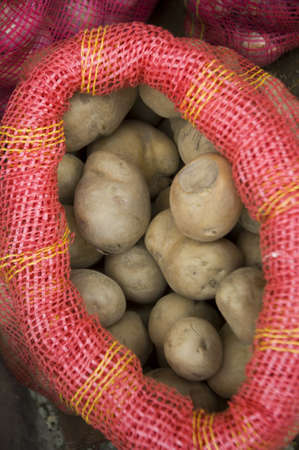 a basket of potatoesの写真素材