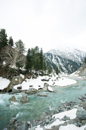 a landscape view during going to Sonoma valley,Kashmir,India