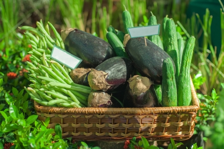 a basket of vegetables, string bean, eggplant and bitter gourdの写真素材