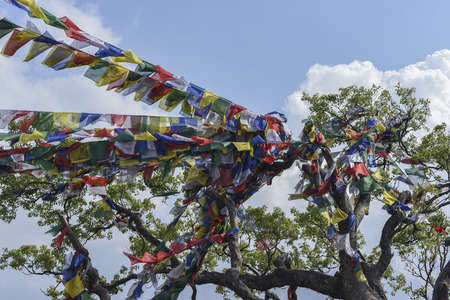 closed up the prayer flag in Nepalの写真素材
