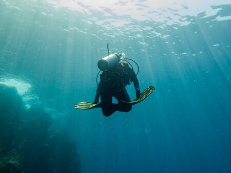 the diver is diving in the sea, Philippinesの写真素材