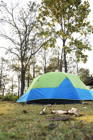 the tent at natural park, Thailandの写真素材