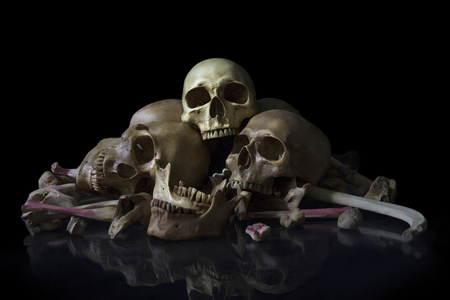 Skull with Bone In the dim light on dark background / Still life styleの写真素材