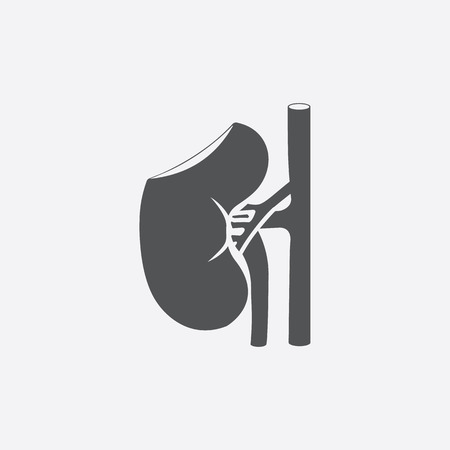 Kidney icon of vector illustration for web and mobile designのイラスト素材