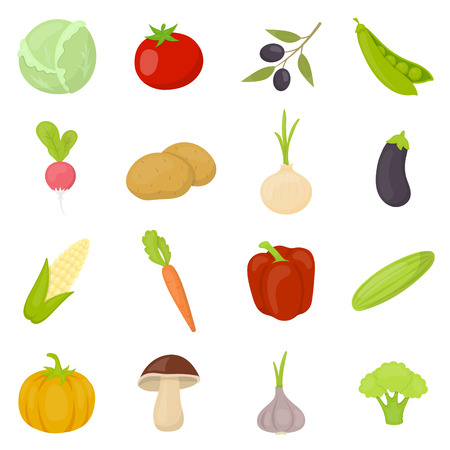 Vegetable 16 vector icon set in cartoon style for web design.のイラスト素材