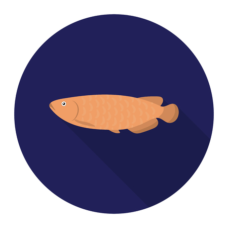 Scleropages fotmosus fish icon flat. Singe aquarium fish icon from the sea,ocean life flat.のイラスト素材